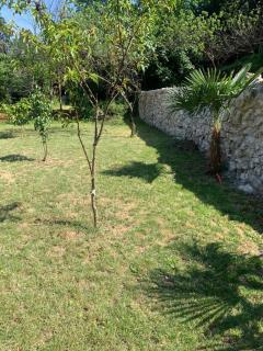 BISER KVARNERA 2 - 1