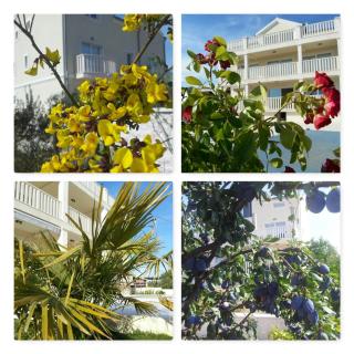 Villa Bachelor - Vodice - 3