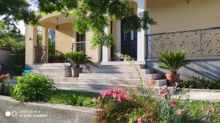 Gloria Apartments - Herceg Novi - 0
