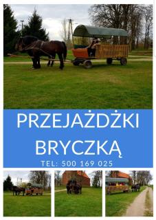Apartament Wiejska Sielanka - 1