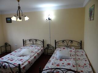 Pensiunea Lacul Albesti - 3