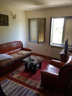 Blue point - Kragujevac - 6