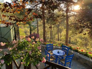 Anti Onirou - Flasou - 1