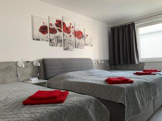 Kellerův mlýn - Apartmán s vlastní garáží, Znojmo centrum - Znojmo - 2
