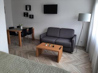 Gray House Apartmán - Zlaté Hory - 7
