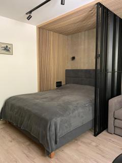 Apartamentai Juodkrantėje KURŠIS, vieno kambario, Vilų 36, Neringa - Juodkrantė - 0
