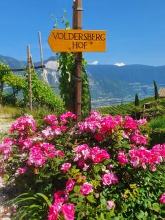 Voldersberghof - Cortaccia - 0