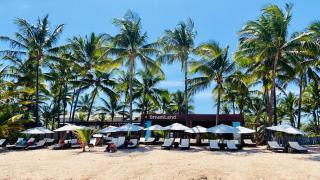 Dreamland Bungalows - Taipú de Fora - Barra Grande - 3