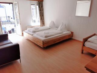 Linda Apartment 33 - Interlaken - 0