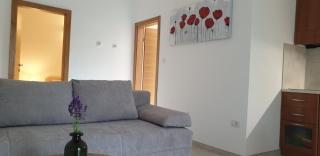 Apartments Cocaletto5 - Rovinj - 8