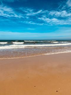 Palm Appart - Biscarrosse-Plage - 2