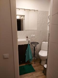 Mini apartment with separate entrance - Palanga - 4