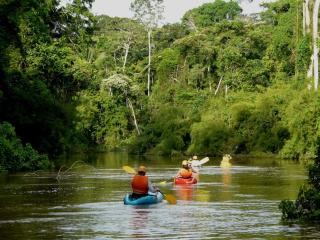 Wasai Tambopata Lodge - Tambopata - 6