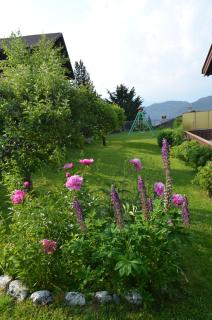Lärchenheim Appartment - Castelrotto - 6