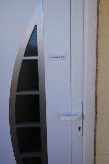 Narval Gris - 2