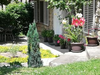 Apartment Jazz - Golubac - 8