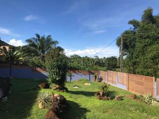 Shikoa Sobole - Le Morpho et l'Ara - 1