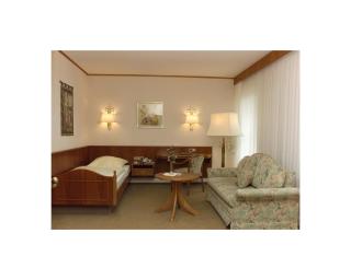 Hotel Alte Post Garni - Ginsheim-Gustavsburg - 3