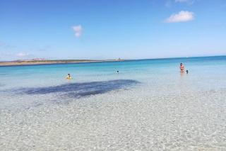 Stintino sardegna delizioso bilocale vista mare - Stintino - 0