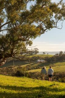 Old Coach Road Estate - Hindmarsh Valley - 7