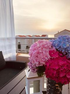 Beautiful vacation apartments in Novalja Ivana - Ana - Danijel - Novalja - 0
