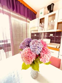 Beautiful vacation apartments in Novalja Ivana - Ana - Danijel - Novalja - 4