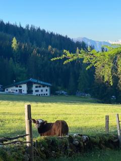 Appartementhaus Hochkönig - Panoramablick - Mühlbach am Hochkönig - 4