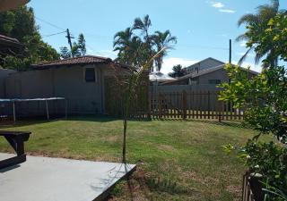 Marks Cottages - Durban - 3