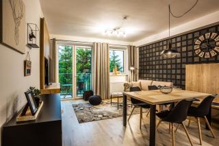 Aparthotel Klínovec Views - Loučná pod Klínovcem - 9