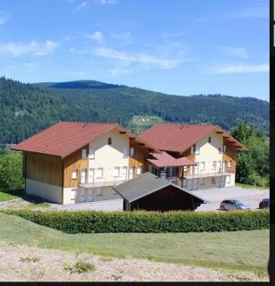 APPT 3* LE HAUT DES LACS - Xonrupt-Longemer - 0