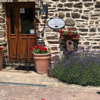 Frenes B&B - Frênes - 2