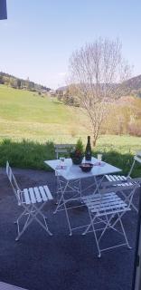 APPT 3* LE HAUT DES LACS - Xonrupt-Longemer - 9