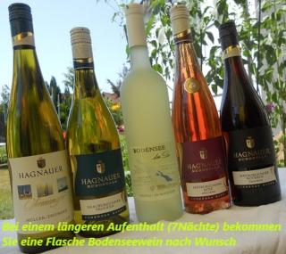 SEEwald grüner Baum - ruhig & 3x getrennte Zimmer-2x Boxspringbett - Friedrichshafen - 7