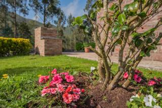 Casa Manuela, a 8 km de la playa VV-1966-AS - 4