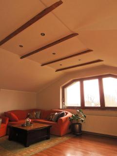 apartament pod lasem - 1