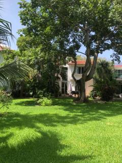 Casa Mi Tesoro - Playa del Carmen - 6