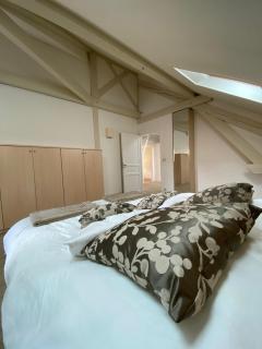 Elegant Duplex de Haut Standing de 230m2 - La Roche-sur-Foron - 3