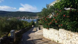 3 - Modern apartment with garden 80m from beach - Vinišće - 7