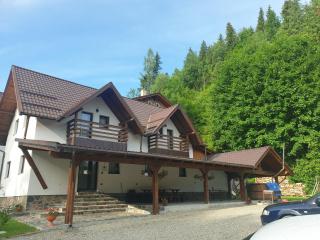 Pensiunea Cheile Repezii - 5