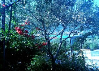 A2 - Modern apartment with garden 80m from beach - 4