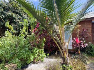 Chalet pittoresque à Le Tampon, vue mont. - 6