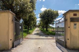 Villa Cornossa - Marta - 9