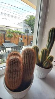 Holiday Home - 1