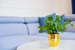 NIDEHO Estate Apartmani - 4