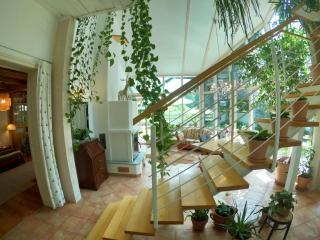 Teichwies'n Alm - Lackenhof - 1