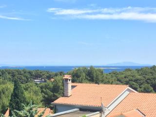 Studio Apartment Aniko - Premantura - 0