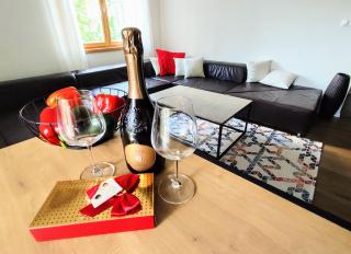 Apartman Panorama Park & Free Parking - Žilina - 6