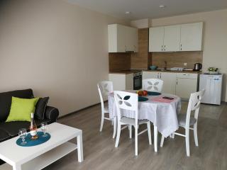 Donchevi Apartments - Primorsko - 9