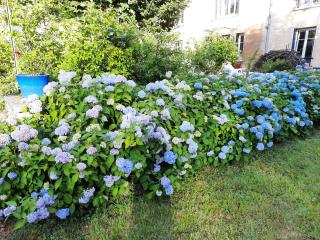 Le Clos des Soyeux - 2