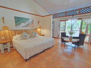 Cariblue Beach and Jungle Resort - Puerto Viejo - 7